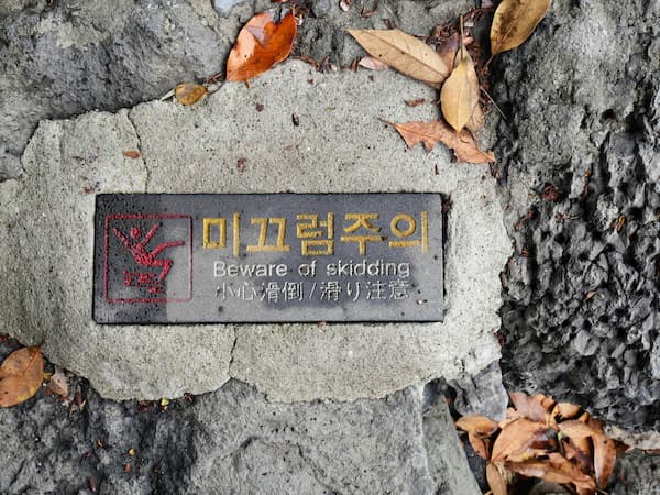 Korean to English translation mistake